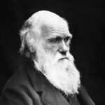 Charles Darwin mustavalkokuvassa mustalla taustalla. Puolilähikuva